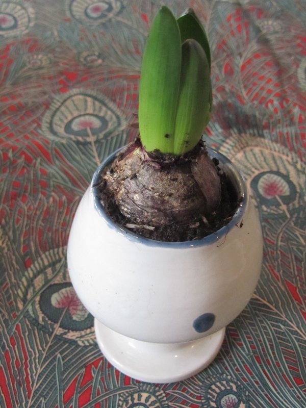 IMG_2755-small IMG_2755-small